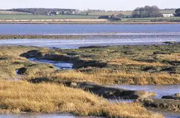 Photo de RSPB Stour Estuary