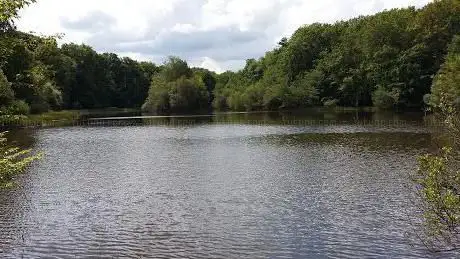 Photo de Etang de Berthommiers