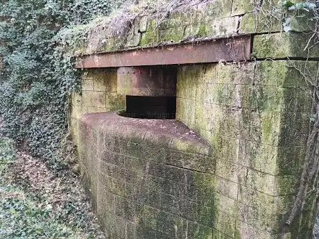 Photo de Tvrđava turtian