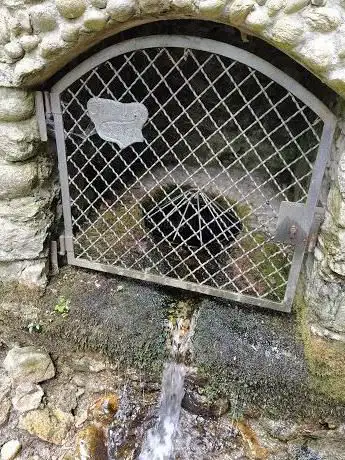 Photo de Sorgente del Seveso