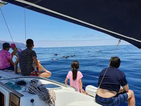Photo de Magic Moments Excursions