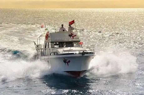 Photo de Costa Balenae Whale and Nature watching