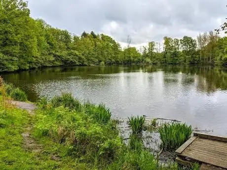 Photo de Ohmoor