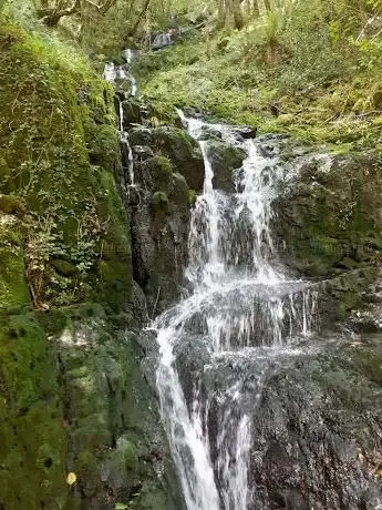Photo de Portal Fragas Do Eume