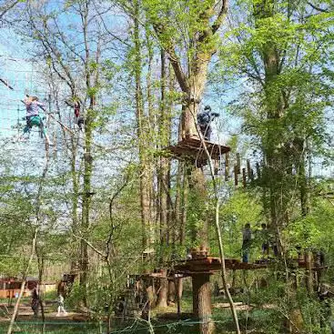 Photo de Forest Arena | Parc de loisirs IDF | Accrobranche 77