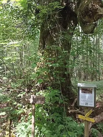 Photo de Strömsbergsskogens Norra Parkering