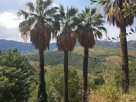 Photo of Jardin Méditerranéen du Mas de la Serre