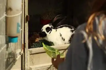 Photo de La ferme de Solidor