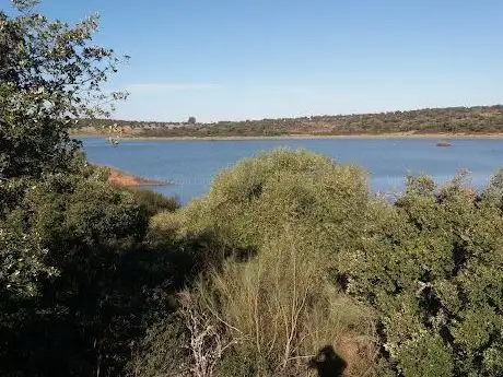 Photo de Parque Natural de Cornalvo