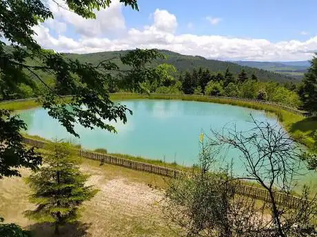 Photo de Lago Acero Zona Picnic