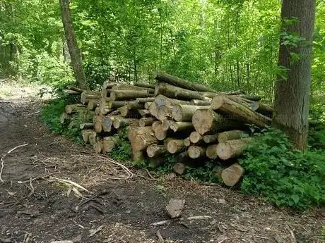 Photo de Freizeit-/ Wanderwege