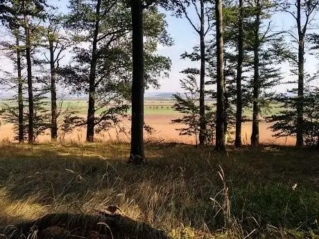 Photo de Hoppensteiner Wald