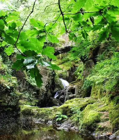 Photo de Routin Brig Waterfall