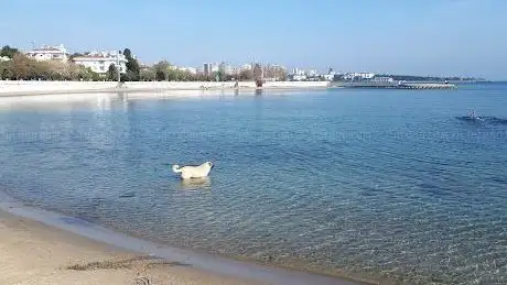 Photo de Caddebostan Coast