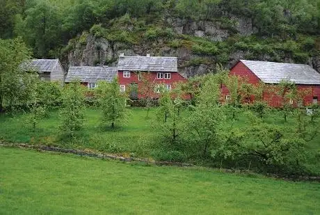 Photo de Ryfylke Museum - Vigatunet and historic fruit orchard