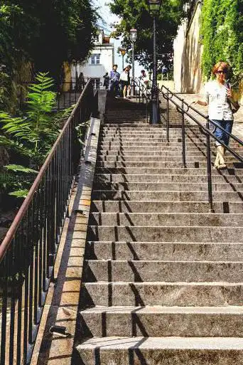 Foto de Jardin Sauvage Saint Vincent