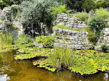 Photo de Lausanne Botanical Garden