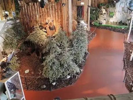 Photo of INDIAN LAND Museum