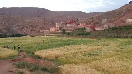 Photo de Asif Tidili