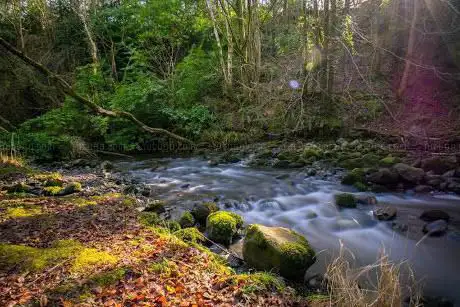 Colin Glen River Entrance