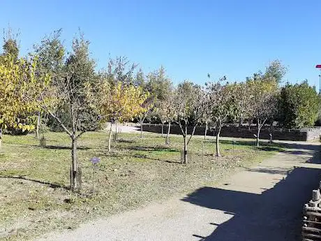 Photo de Arboretum de Lunel