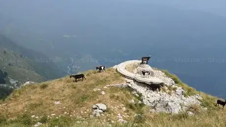 Photo de Koluji  view point