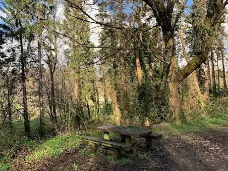 Newtownmountkennedy Woods Car Park