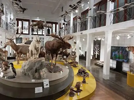 Photo de Zoological Museum Catania