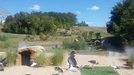 Photo de Les Maîtres des Airs