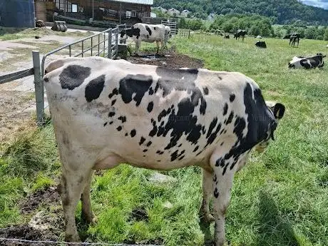 Photo de Kåhögs Gård