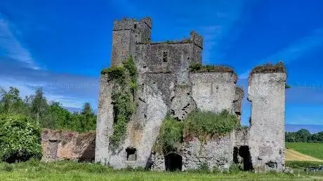 Ballyadams Castle