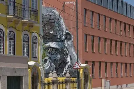 Photo de Half Gorilla - Street art of Bordalo II