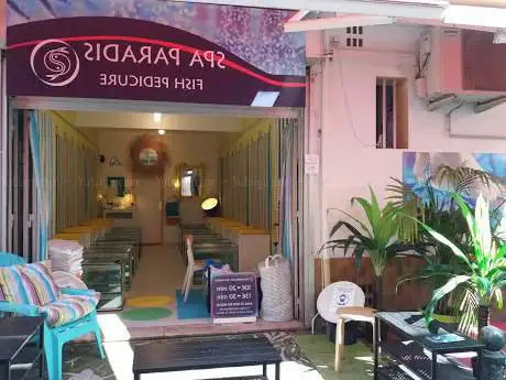 Photo de fish pedicure spa paradis