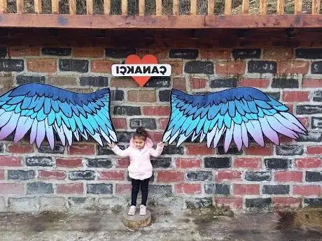 Photo de Çanakçı Belediyesi Anapark Tesisleri