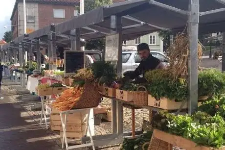 Photo de Knalten Ekologiska Grönsaker