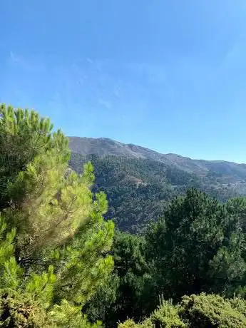 Photo de Entrada Parque Natural Sierra de las Nieves