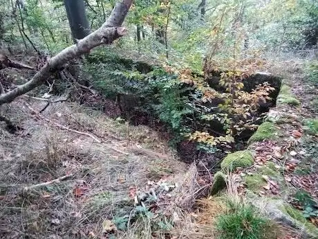 Photo de Burgstall Warberg