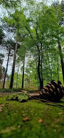 Photo de Black Carr Plantation