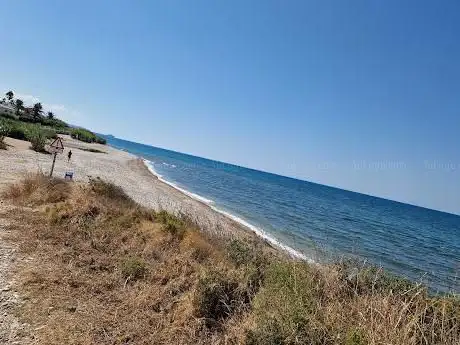 Photo de Platja d'Aiguadoliva•apta per a gossos