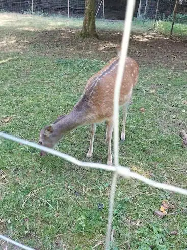 Foto de Parc â daims - Festival Prés Salés