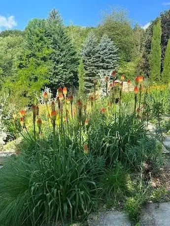Photo de Rosengarten von Christine Fischer