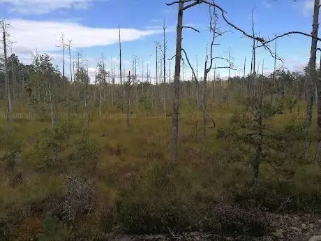 Photo de Långviksträsk