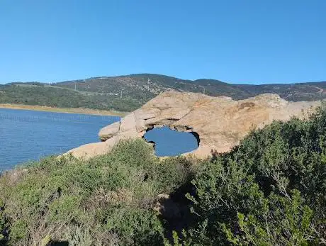 Photo de Piedra Cráneo de Dinosaurio