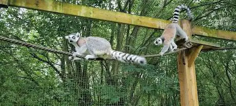 Photo of Ponderosa Zoo