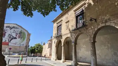 Photo de Musée archéologique Camil Visedo