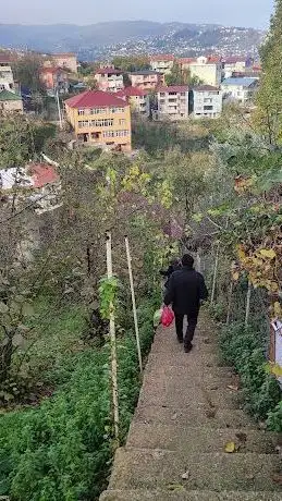 Photo de Terakki Parkı