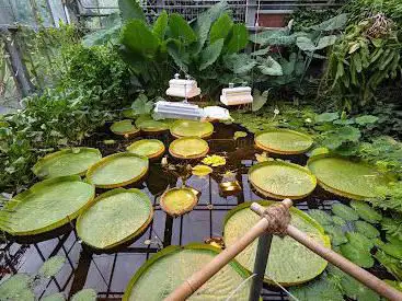 Photo of Botanical Garden