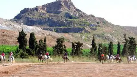 Photo de Picadero y GanaderÃ­a 