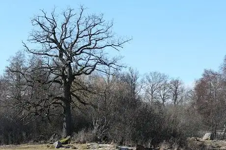 Photo de Hansta naturreservat