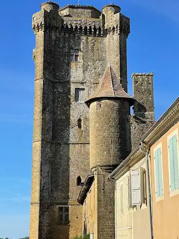 Photo de Chateau de Bassoues